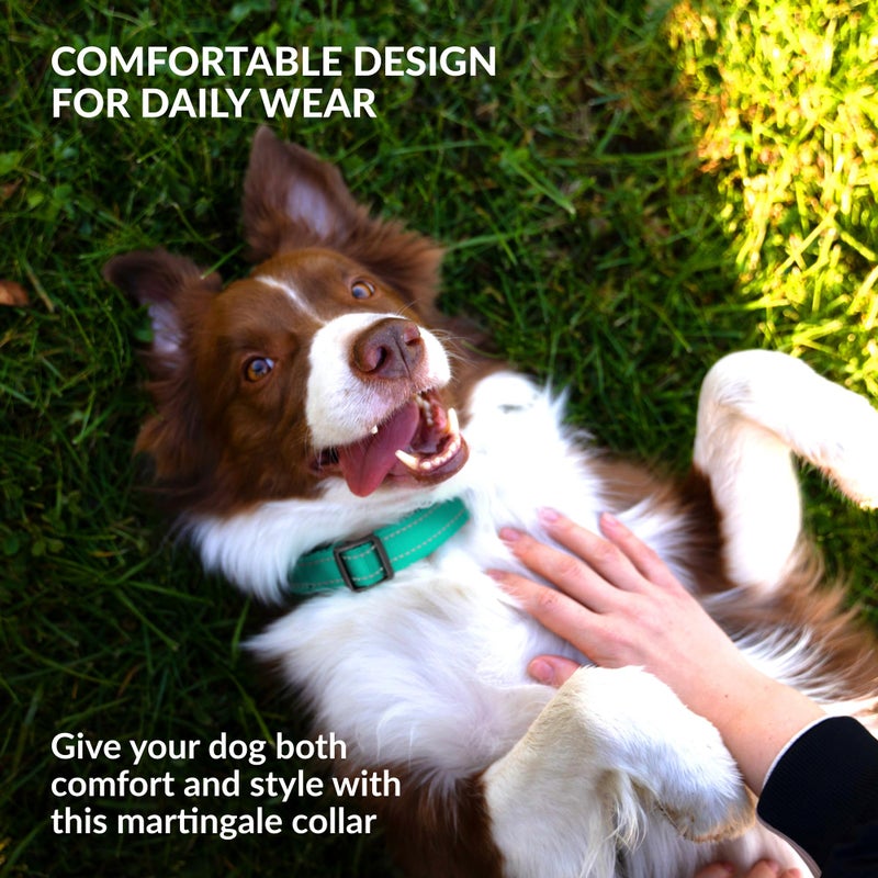 Collardirect Reflective Martingale Dog Collar Nylon Training Collars for Small Medium Large Dogs Puppy Pink Orange Green (M, Neck Size 13"-18", Mint Green) - Image 5